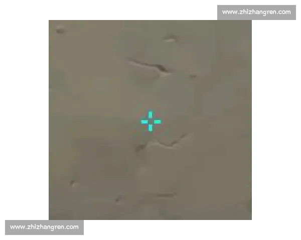 CS2新星闪耀，他们能否改写历史赛事预测看这里！