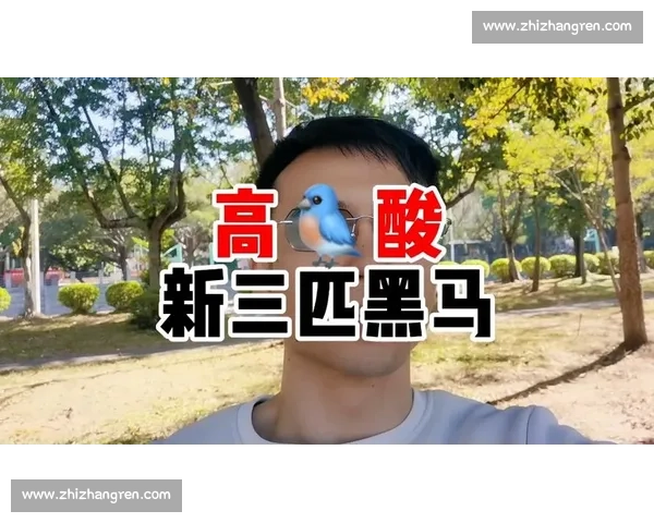 从默默无闻到崭露头角，这匹黑马征服了所有人！