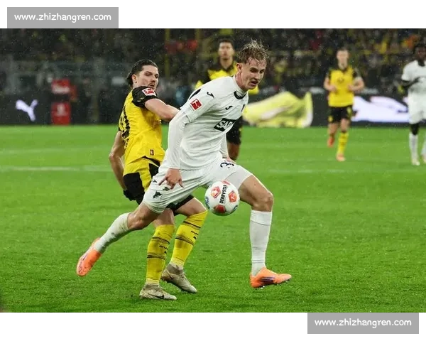 霍芬海姆的青春风暴！德甲赛场上的年轻力量